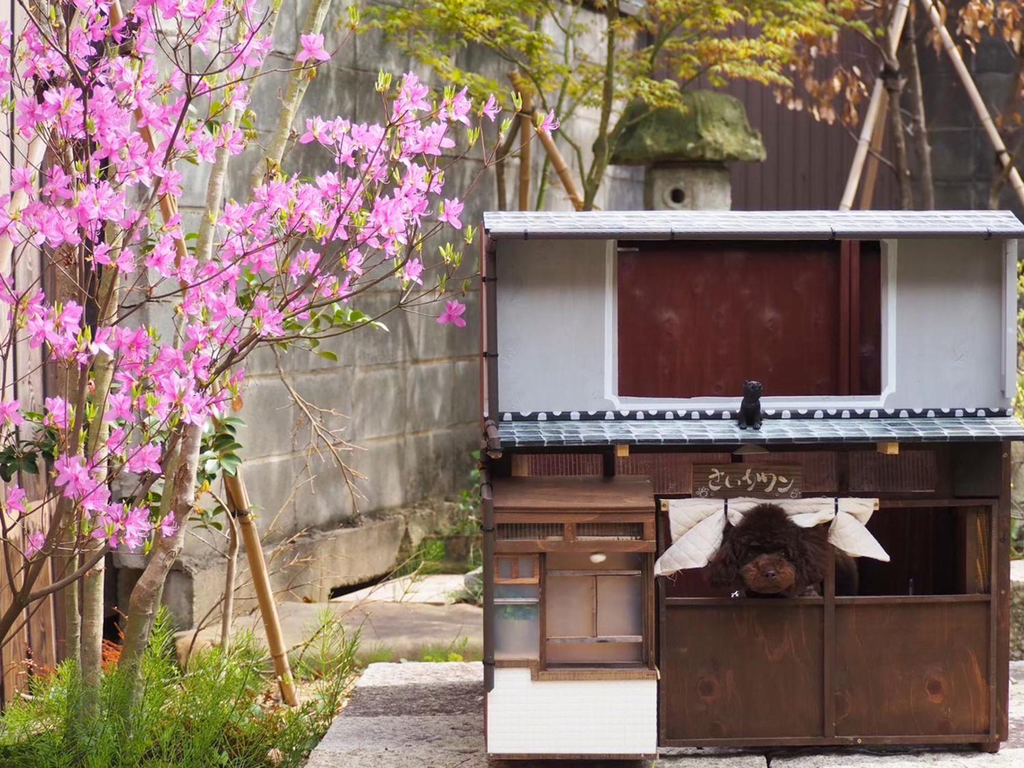 古民家の宿宰嘉庵 Traditionaljapanisehotel Saikaan Maizuru Exterior photo