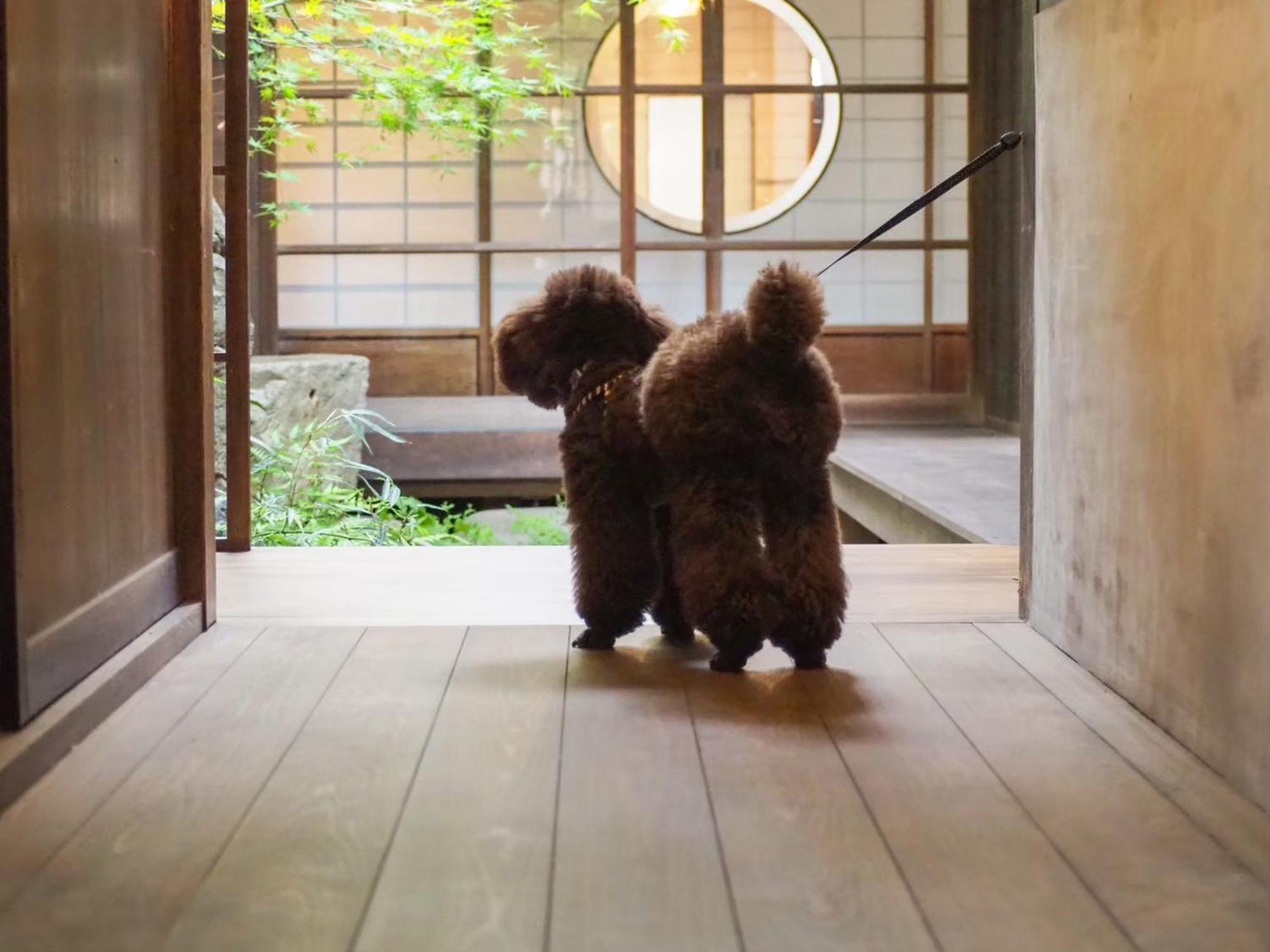 古民家の宿宰嘉庵 Traditionaljapanisehotel Saikaan Maizuru Exterior photo